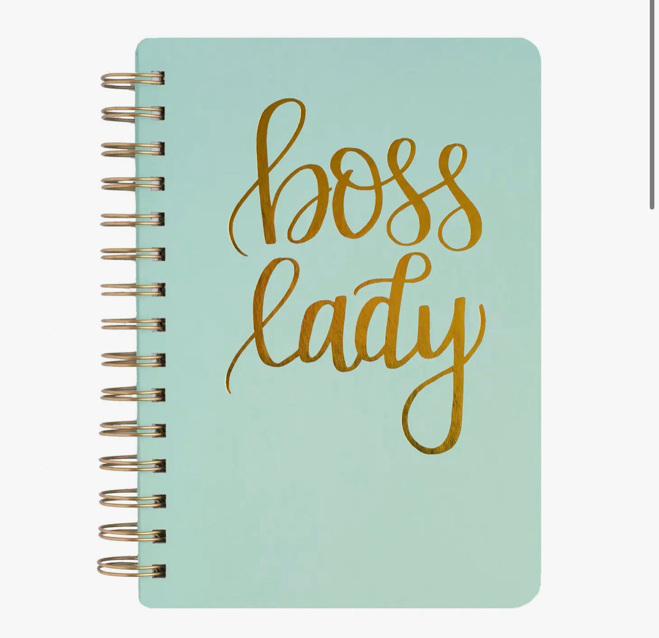 Boss Lady Spiral Notebook